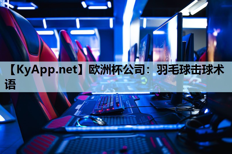 羽毛球擊球術語